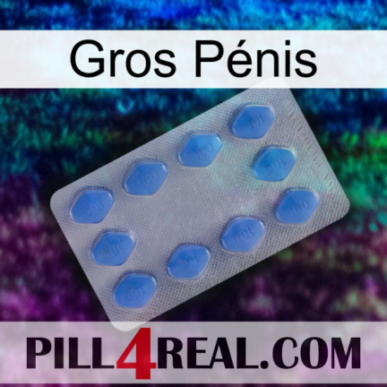 Gros Pénis 21